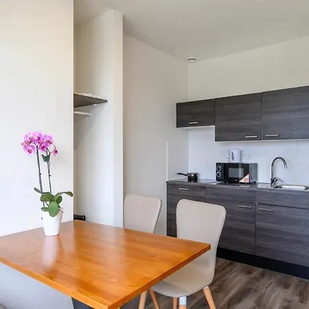 Hyde Park Amsterdam Airport מלון 4*